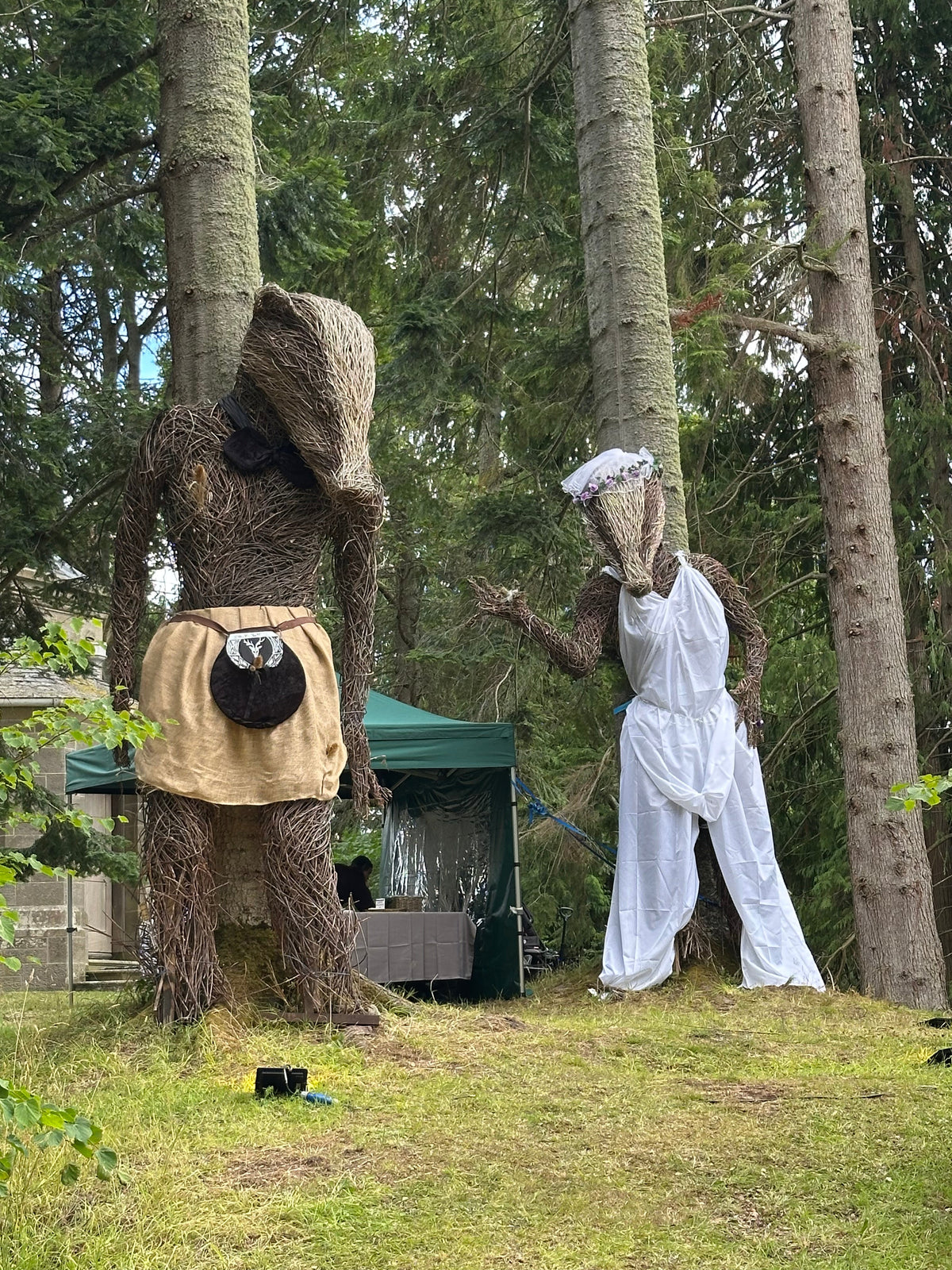 Willow figures among the pines at Belladrum Tartan Heart Festival