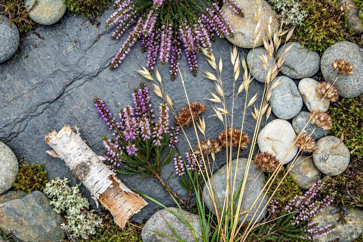 Carefully Chosen collection — a curated edit of Croft & Cleo favourites