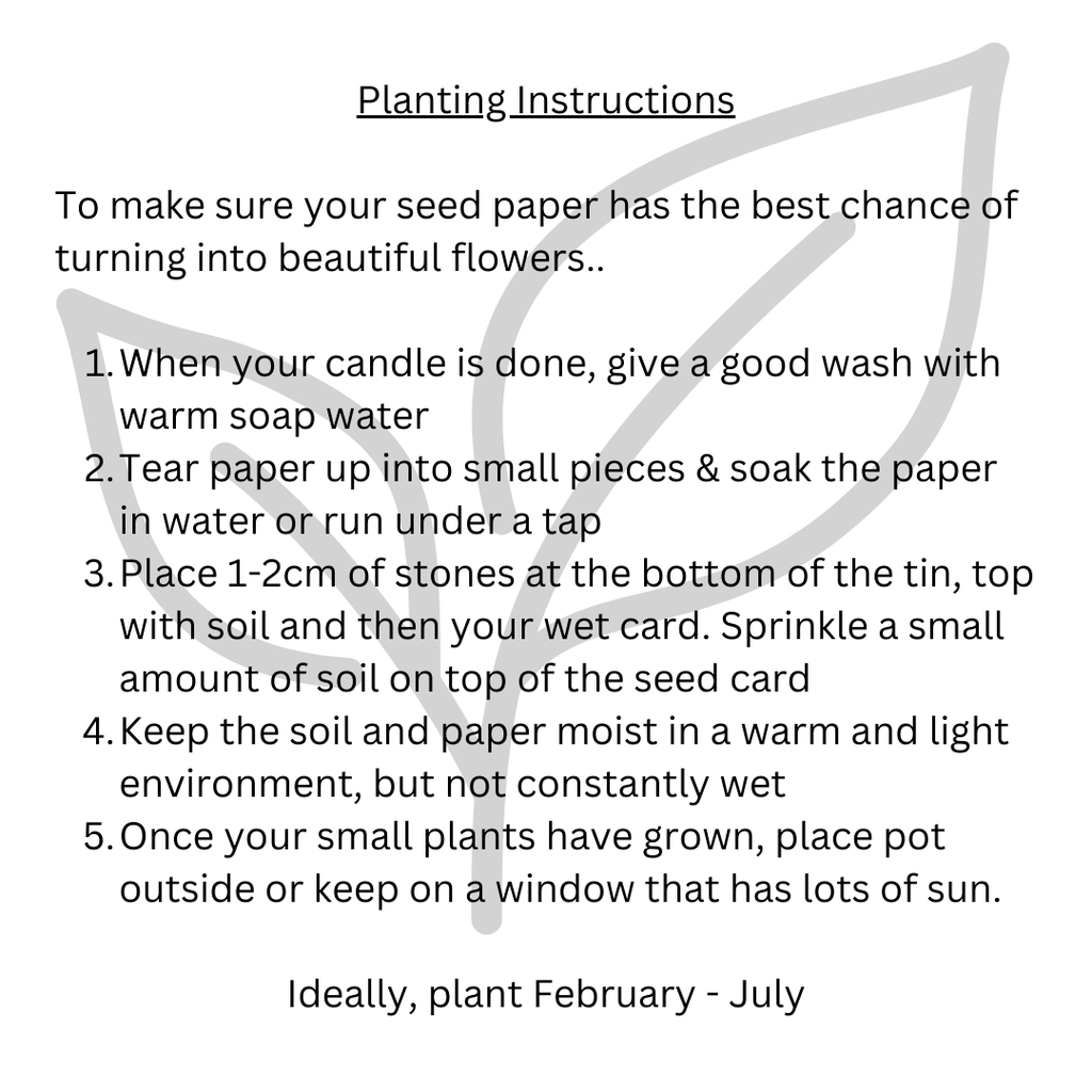 Grow Candle Fairy Glen — close-up of label and vessel detail, Croft & Cleo