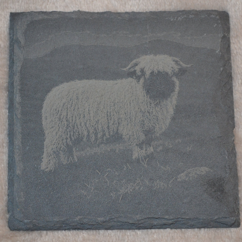A square dark gray slate coaster featuring an engraved or printed image of a white sheep standing in a field, placed on a beige textured fabric background.