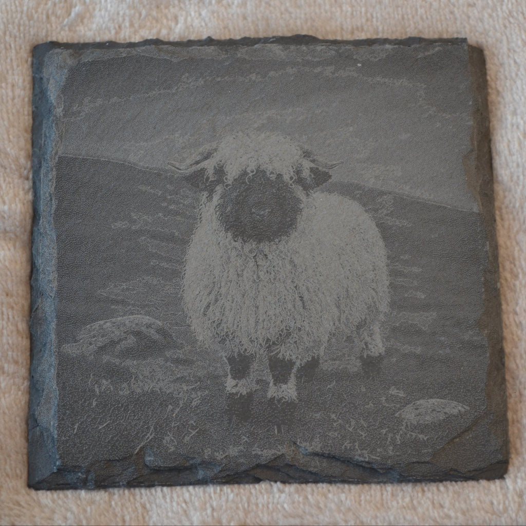 Highland Farmhouse Gift Valais Blacknose Sheep Slate Coasters – close-up detail, Croft & Cleo