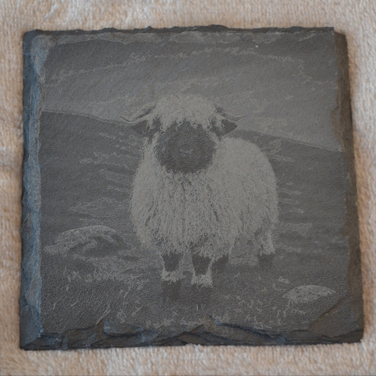 Highland Farmhouse Gift Valais Blacknose Sheep Slate Coasters – close-up detail, Croft & Cleo