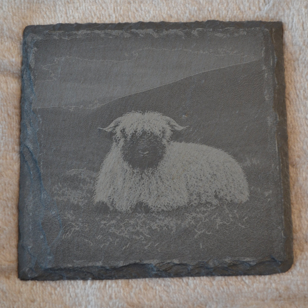 Highland Farmhouse Gift Valais Blacknose Sheep Slate Coasters – close-up detail, Croft & Cleo