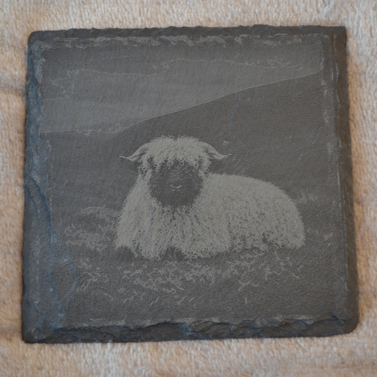 Highland Farmhouse Gift Valais Blacknose Sheep Slate Coasters – close-up detail, Croft & Cleo