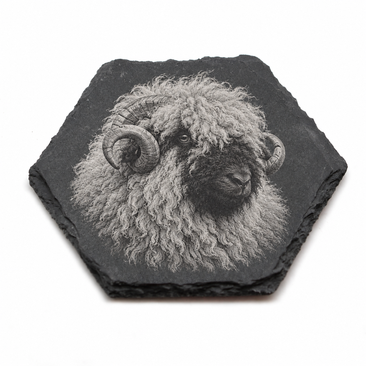 A hexagonal dark slate coaster featuring a detailed grayscale engraving of a ram's head with curled horns, shown on a plain white background.