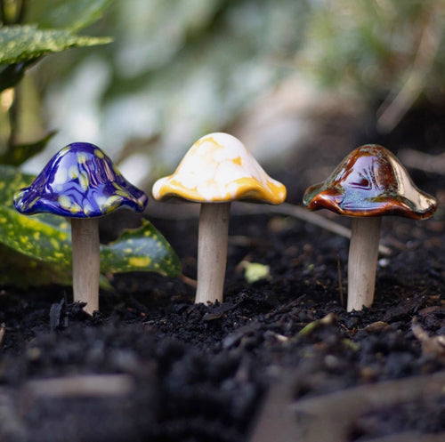 Ceramic Mushroom Decorations