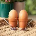 Plant pot egg cup set with shovel spoons, Croft & Cleo
