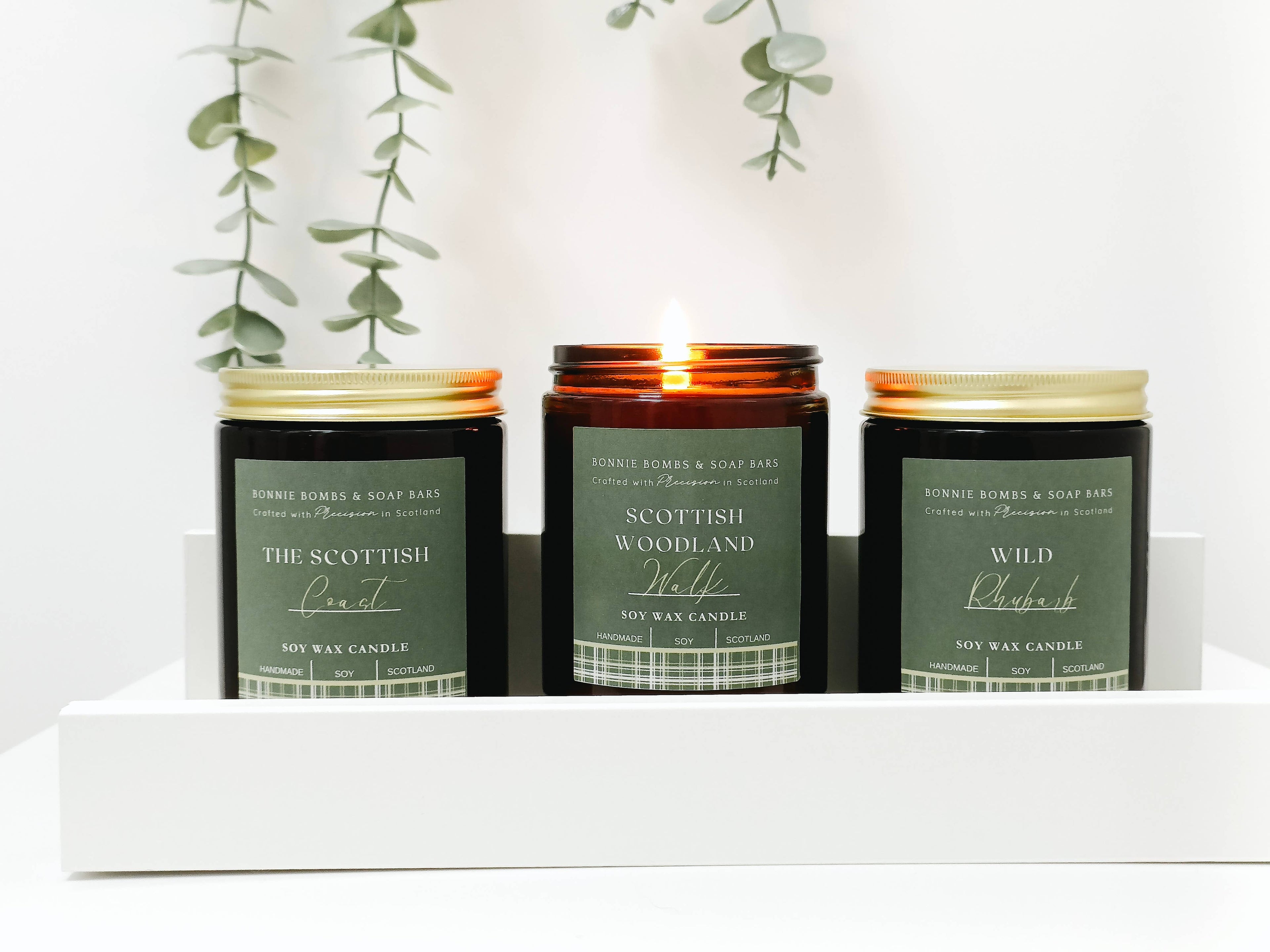 Infused Lavandula Soy Candle